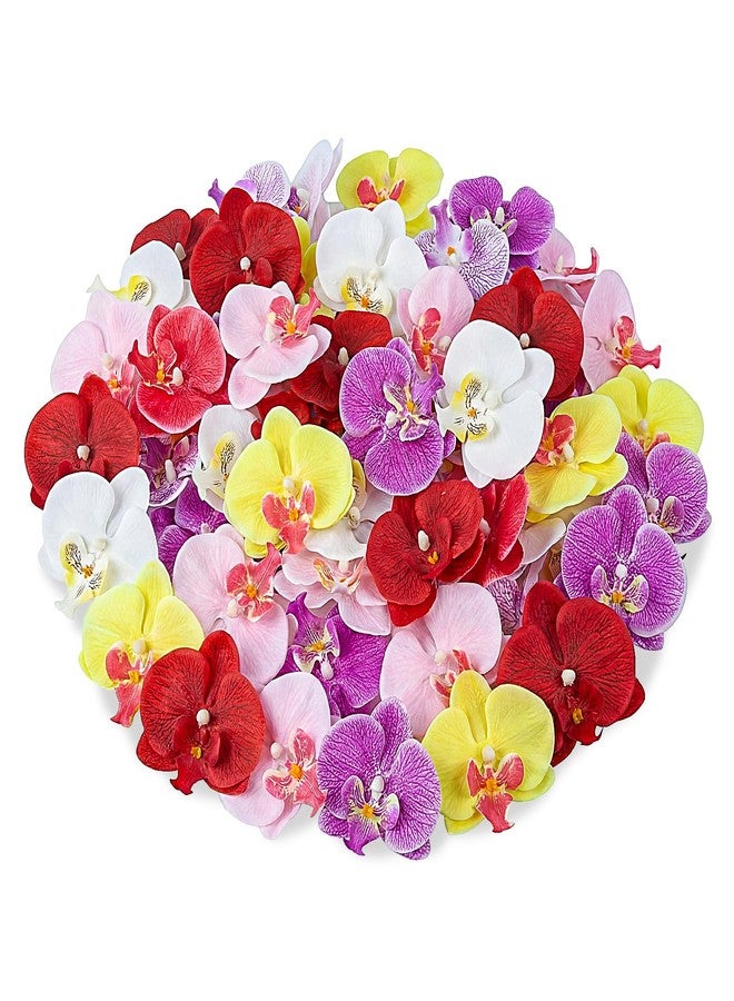 Maasechs 40 Pcs Artificial Orchid Heads Bulk Colorful Faux Butterfly Orchid Petals Silk Artificial Tropical Phalaenopsis Flower Heads for DIY Crafts Wedding Birthday Party Hair Clips Wreath Decoration - Image 1