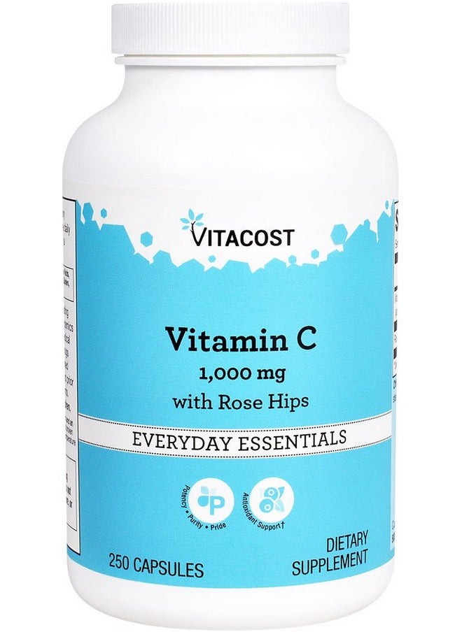 Vitacost Brand - Vitacost Vitamin C With Rose Hips 1000 Mg 250 Capsules - Image 1