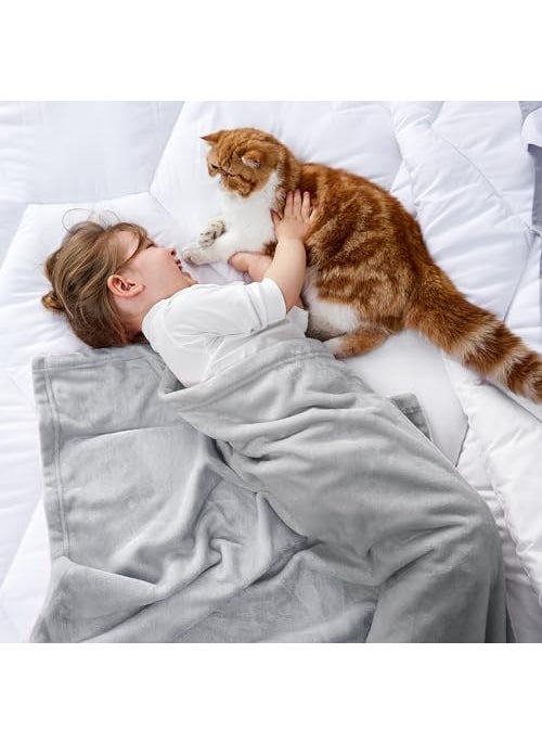 Bedsure Bedsure Bedding Fleece Blanket for Girls and Boys  Soft Cozy Cute Small Throw Blankets for Travel 43x55 Inches Light Grey 
