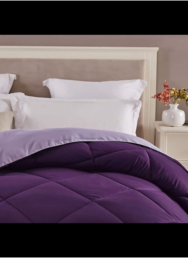 Home of linens - Cotton - Reversible Heavy Comforter -3.6Kgs - Down Alternative Filling - (For Matress 160cm/180cm) - Size (230cm x 240cm) - Lavender x Mauve - Image 1