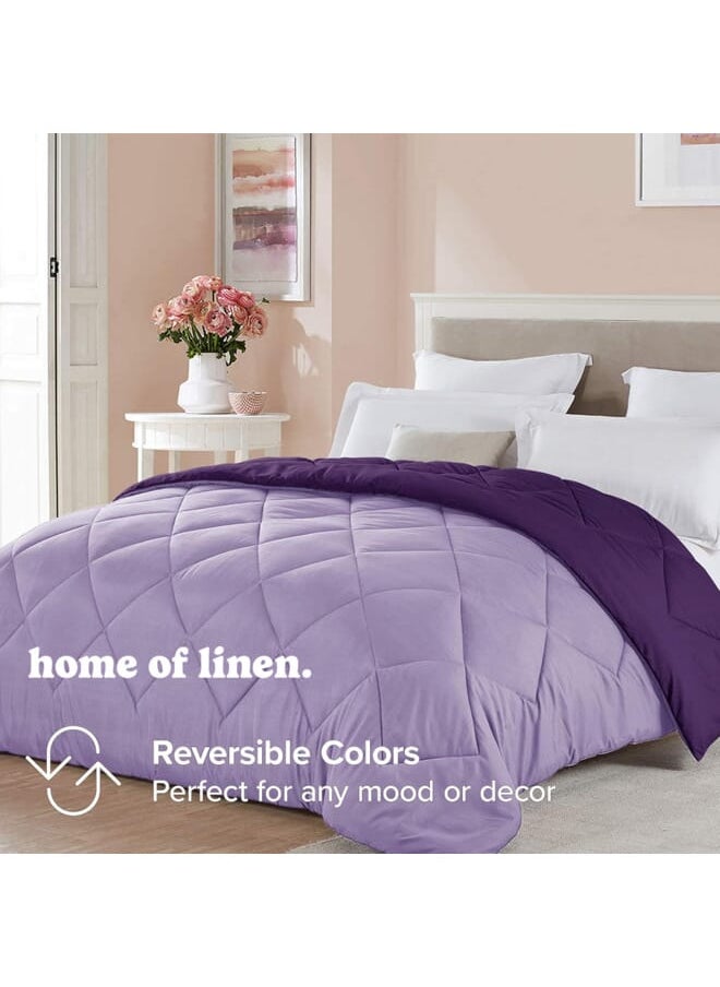 Home of linens - Cotton - Reversible Heavy Comforter -3.6Kgs - Down Alternative Filling - (For Matress 160cm/180cm) - Size (230cm x 240cm) - Lavender x Mauve - Image 1