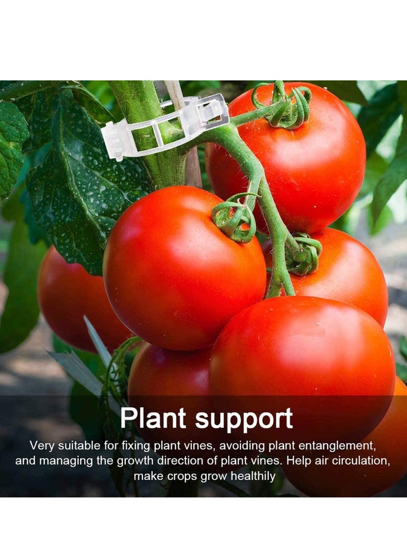 Barakah 200 Pcs Plant Support Garden Clips, Vegetable Tomato Supports Trellis Clip Tape for Climbing Crop Vine Twine String Cage Ties Stakes, Grow Strawberry Rose Grape Cucumber Orchid Pea Tree - Image 2