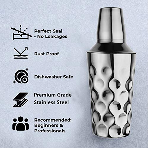 Steren Impex | Stainless Steel Coin Design Cocktail Shaker with Strainer & Jigger/Peg Measurer (30 & 60 ml), 500 ml - Image 5