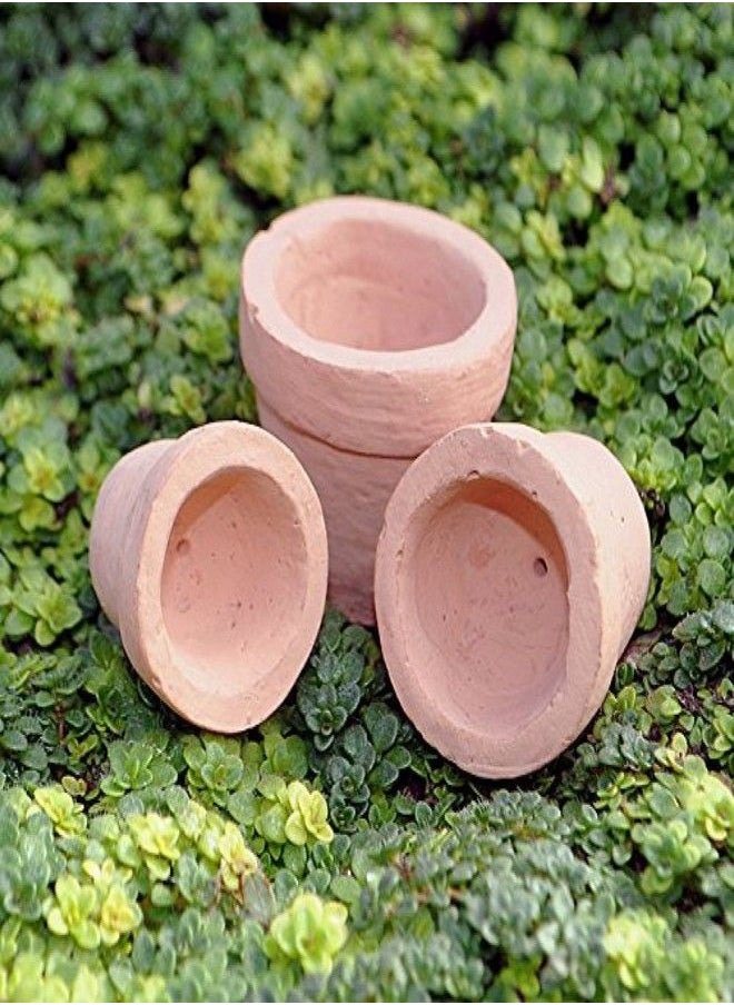 G & F Products G & F Products G & F Garden Miniature Fairy Garden Tiny Pots (Set of 3), Orange …  - Image 2