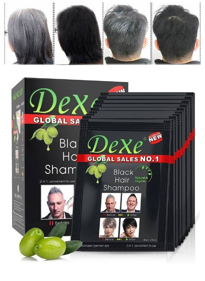 Dexe Black Hair Shampoo Temporary Instant Hair Dye Maintain for Men and Women Grey Hair Color Shampoo Black Wash Hair Cream Black Hair Shampoo for Natural Hair Long Lasting Hair Color Shampoo  - Image 1
