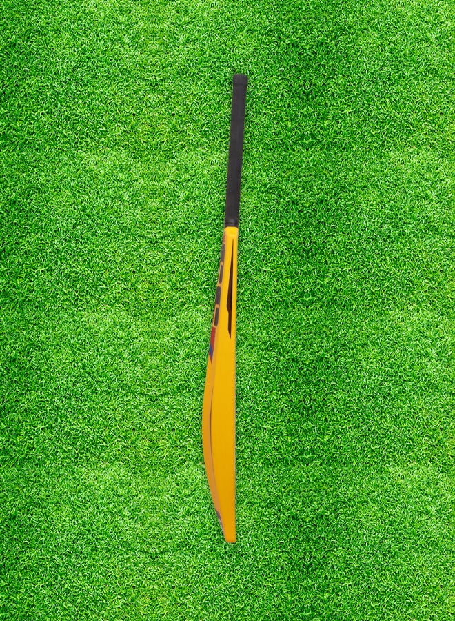 SS مضرب بلاستيك من SS مقاس 6 - Image 3