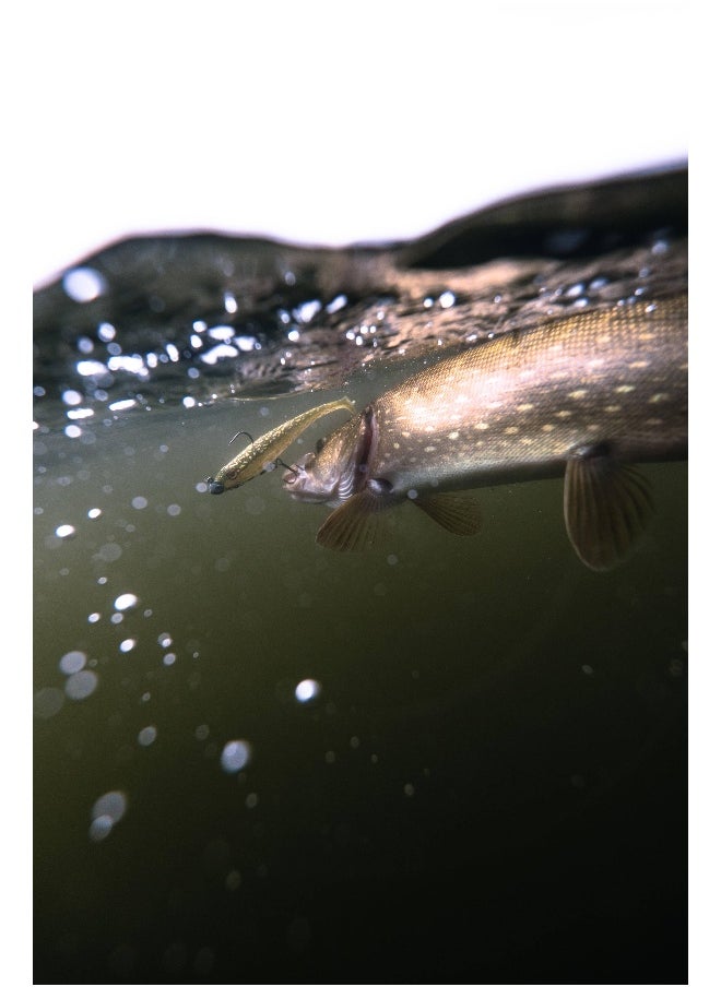 Caperlan Caperlan BY DECATHLON,Fishing Soft Lure Rogen 160 Pike (2 Pack)  - Image 2