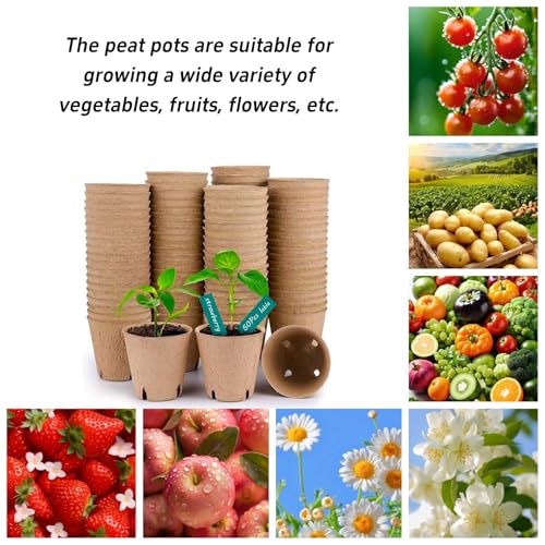ANGTUO 102 Pcs Peat Pots for Seedlings, 3.14 inch Biodegradable Seed Nursery Pot with Drainage Holes, Seedling Pots Include 50 Labels - Image 5