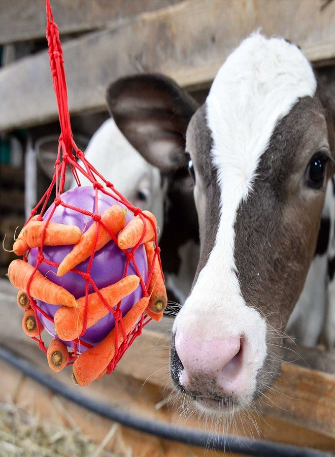 Tirifer Carrot Feeder Ball Toy for Horse, Goat, Sheep - Stress Relief, Stable & Paddock - Image 3