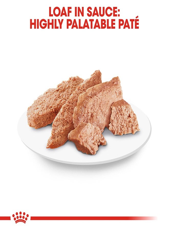 رويال كانين طعام الكلاب رويال كانين للسلالات الصحية والتغذية للكلاب البالغة من فصيلة البودل، رغيف في صلصة، 3 أونصة (عبوة من 6 قطع) - Image 3