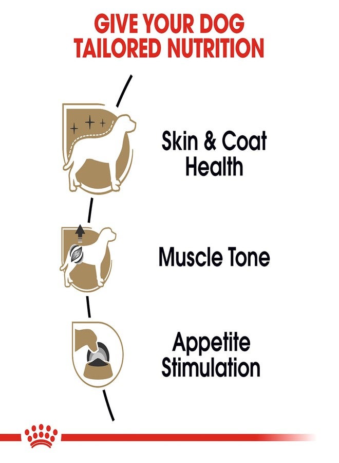 رويال كانين طعام الكلاب رويال كانين للسلالات الصحية والتغذية للكلاب البالغة من فصيلة البودل، رغيف في صلصة، 3 أونصة (عبوة من 6 قطع) - Image 4