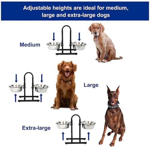 Pets Empire Double Diner Dog Bowl | Adjustable Elevated Pet Feeder Raised Dog Food Bowl | Dog Feeding Station H-Base Double Bowl Stand | Stainless Steel Removable Bowls | (Large) 1600 ml x 2 - Image 2