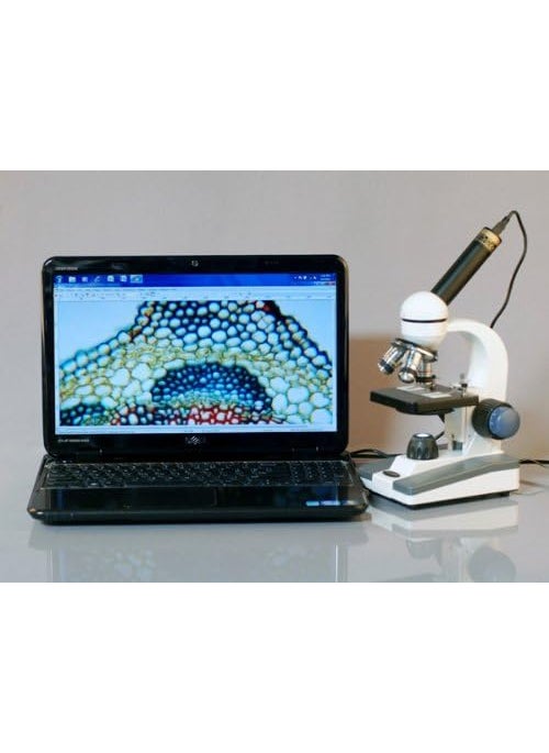 AmScope AmScope M150MS Compound Monocular Microscope WF10x Eyepiece 40x400x Magnification LED Illumination Brightfield SingleLens Condenser Coarse and Fine Focus Mechanical Stage 110V  - Image 2
