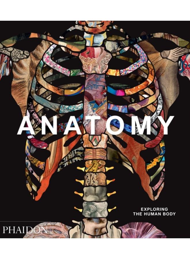 Anatomy : Exploring the Human Body 