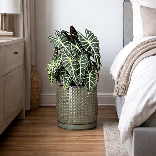 D'vine Dev 8 Inch Ceramic Beaded Stoneware Planter Pot - Flower Pot with Drainage Holes and Saucers for Indoor Succulent Plants or Flowers, Olive, 27-C-Q-0 - Image 2