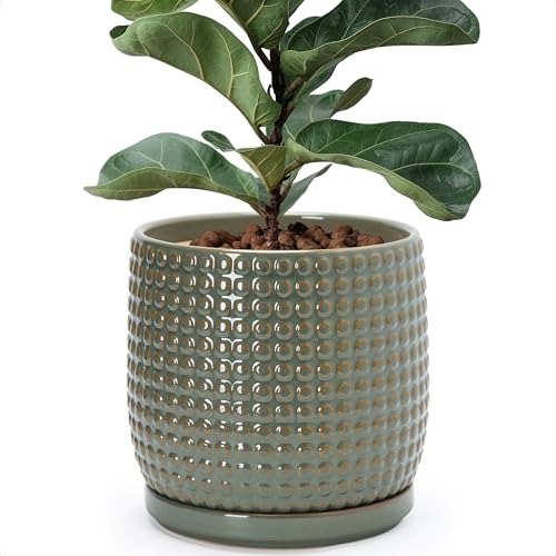 D'vine Dev 8 Inch Ceramic Beaded Stoneware Planter Pot - Flower Pot with Drainage Holes and Saucers for Indoor Succulent Plants or Flowers, Olive, 27-C-Q-0 - Image 1