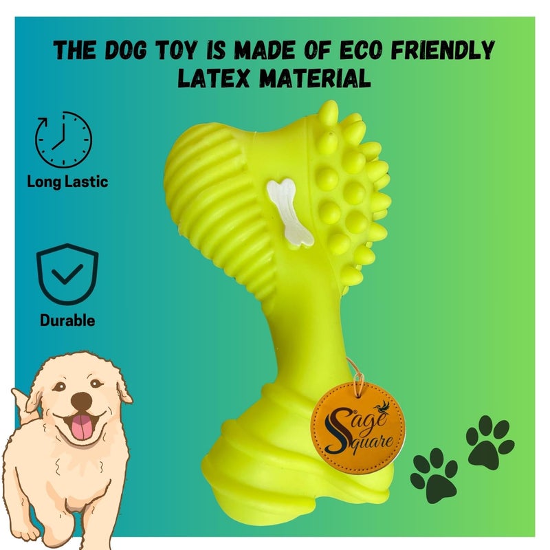 Sage Square Big Bone Shape Interactive Pet Squeaky Toy: Durable, Safe, Fun Chew Toy for Dogs - Perfect for Playtime, Dental Health, Anxiety Relief - Ideal for Small, Medium & Large Breeds - Image 4