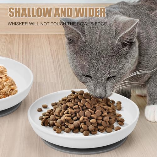 Lfpkixise Shallow Elevated Cat Bowls with Bamboo Stand, 5.9 Inch Wide Ceramic Cat Dish Whisker Friendly, 2 Pack Pet Food and Water Plates - Image 5