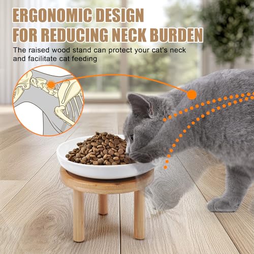 Lfpkixise Shallow Elevated Cat Bowls with Bamboo Stand, 5.9 Inch Wide Ceramic Cat Dish Whisker Friendly, 2 Pack Pet Food and Water Plates - Image 4