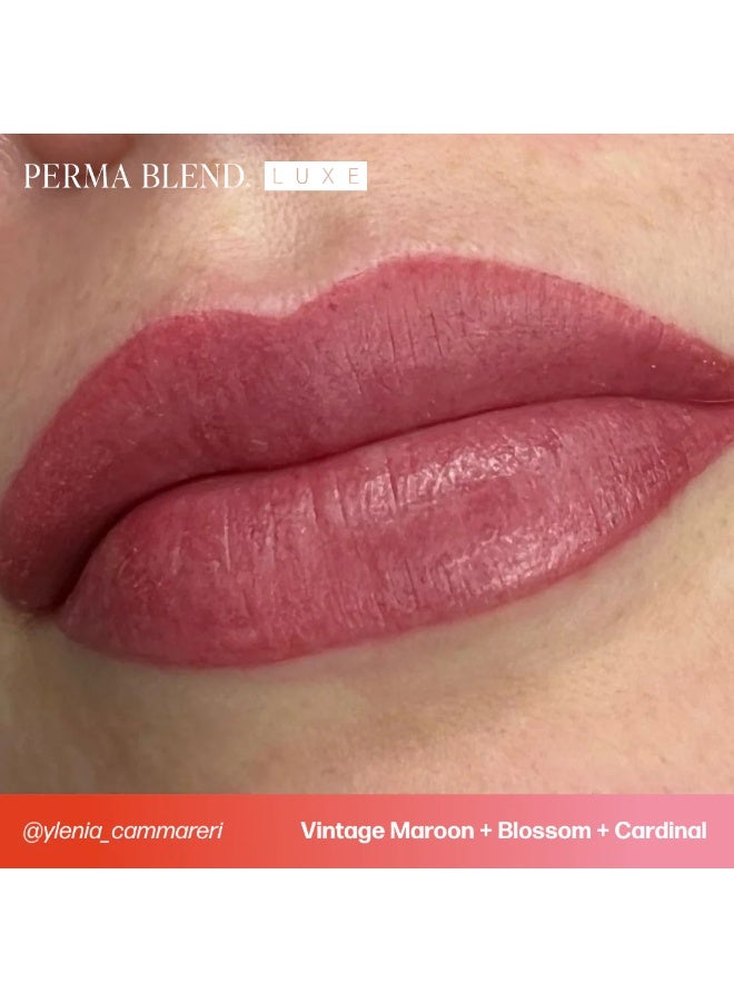 Perma Blend Lip Pigment – Perma Blend Luxe Blossom 15ml | Professional Permanent Makeup Lip Blush Tattoo Ink | High Retention, Vegan, True-to-Tone Healing Semi-Permanent Lip Color | SKU: LXBLSMV21/2-S - Image 2