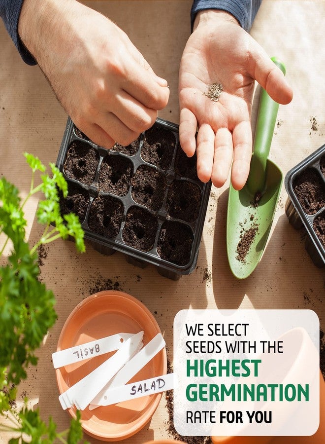 Meekear 10 Kit Non-GMO Growing into Thyme, Lavender, Chamomile, Dill, Chives, Cilantro, Rosemary, Basil, Parsley, Sage Indoor/Outdoor for Kitchen Windowsill Gardening Gift - Image 4