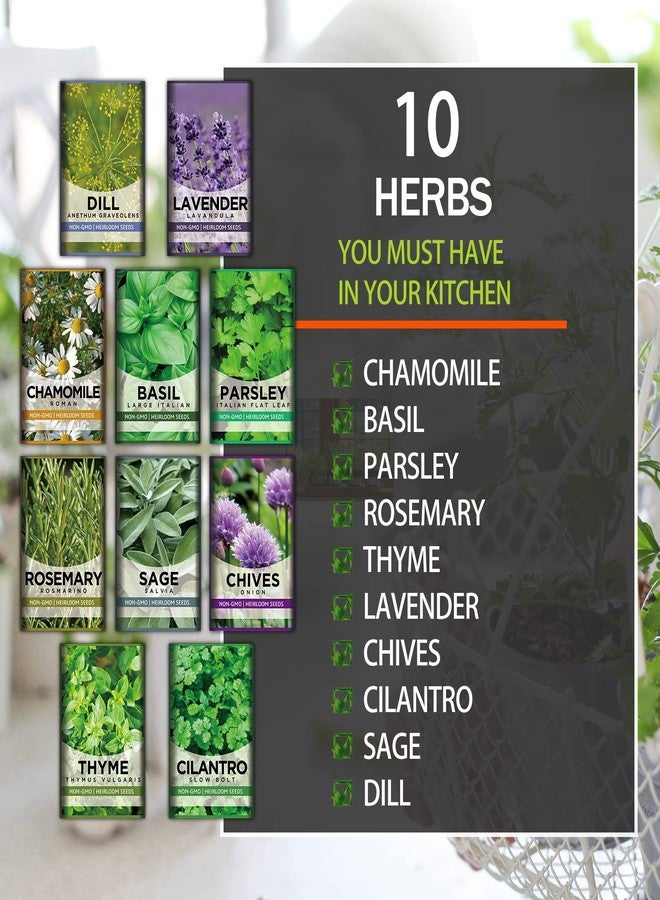 Meekear 10 Kit Non-GMO Growing into Thyme, Lavender, Chamomile, Dill, Chives, Cilantro, Rosemary, Basil, Parsley, Sage Indoor/Outdoor for Kitchen Windowsill Gardening Gift - Image 2