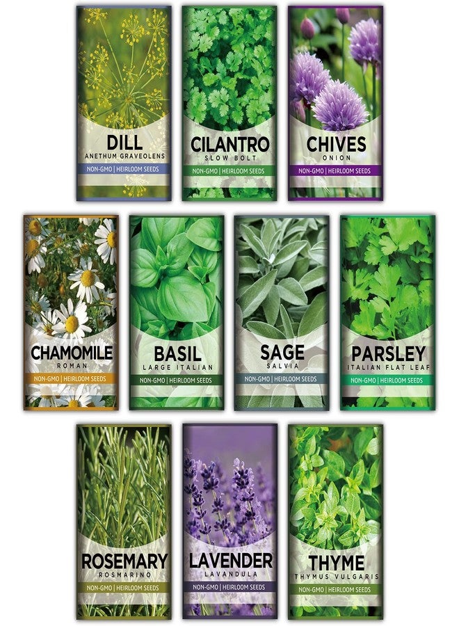 Meekear 10 Kit Non-GMO Growing into Thyme, Lavender, Chamomile, Dill, Chives, Cilantro, Rosemary, Basil, Parsley, Sage Indoor/Outdoor for Kitchen Windowsill Gardening Gift - Image 1