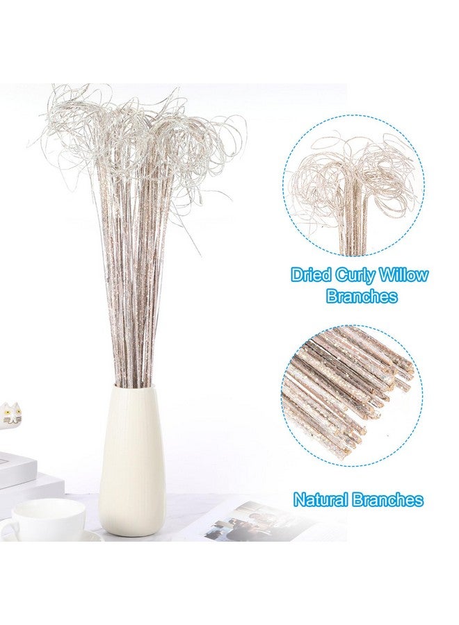 PATIKIL PATIKIL Glitter Curly Branch, 60 Pcs Natural Dried Willow Branches Twigs Christmas Tree Picks Stem Ornaments for Home Kitchen Wedding DIY Crafts Wreath Vases Decor Gift, White  - Image 3