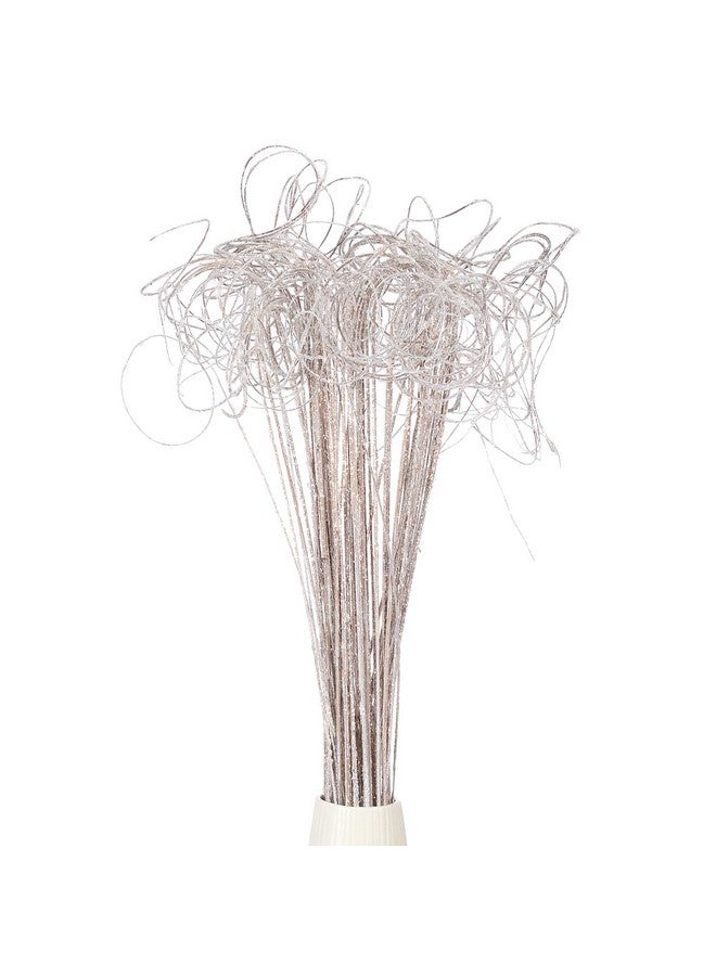 PATIKIL PATIKIL Glitter Curly Branch, 60 Pcs Natural Dried Willow Branches Twigs Christmas Tree Picks Stem Ornaments for Home Kitchen Wedding DIY Crafts Wreath Vases Decor Gift, White  - Image 1