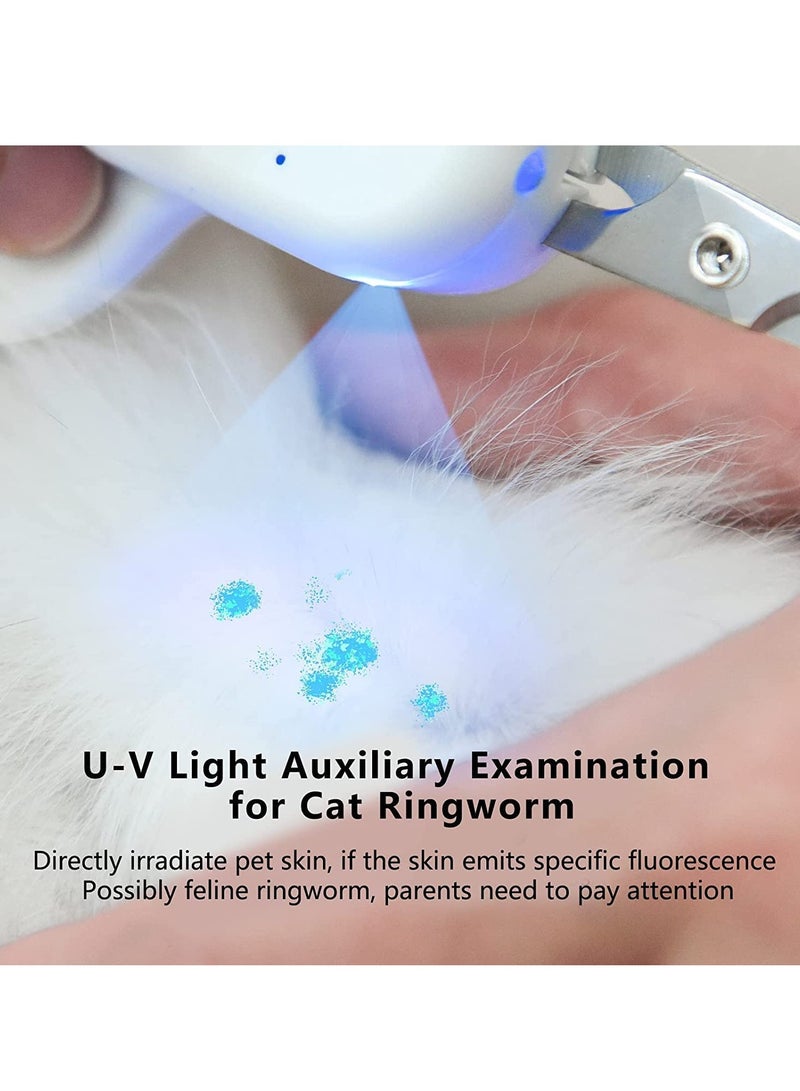 Excefore مقص أظافر الحيوانات الأليفة مع ضوء LED UV، مقص مخالب القطط مع ضوء LED فائق السطوع لتجنب القطع الزائد، أداة تشذيب بشفرة حادة وزاوية للحيوانات الأليفة الصغيرة مثل الكلاب والقطط والأرانب - Image 2