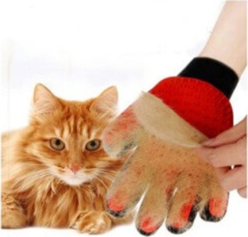 Lion Pets Lion Pet Feather Collection Gloves for Cats and Dogs - Red 