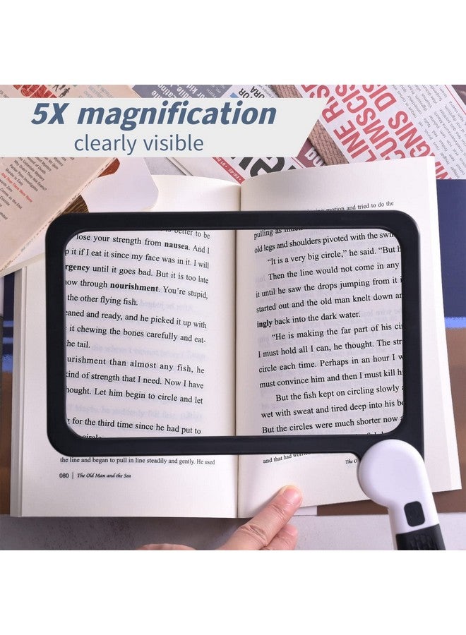 Amoper Magnifying Glass with Light, Page 5X Folding Handheld Rectangular Magnifier with 48 Lights for Reading Books & Close Work, Ideal Lighted Magnifying Gift for Low Visions - Image 3