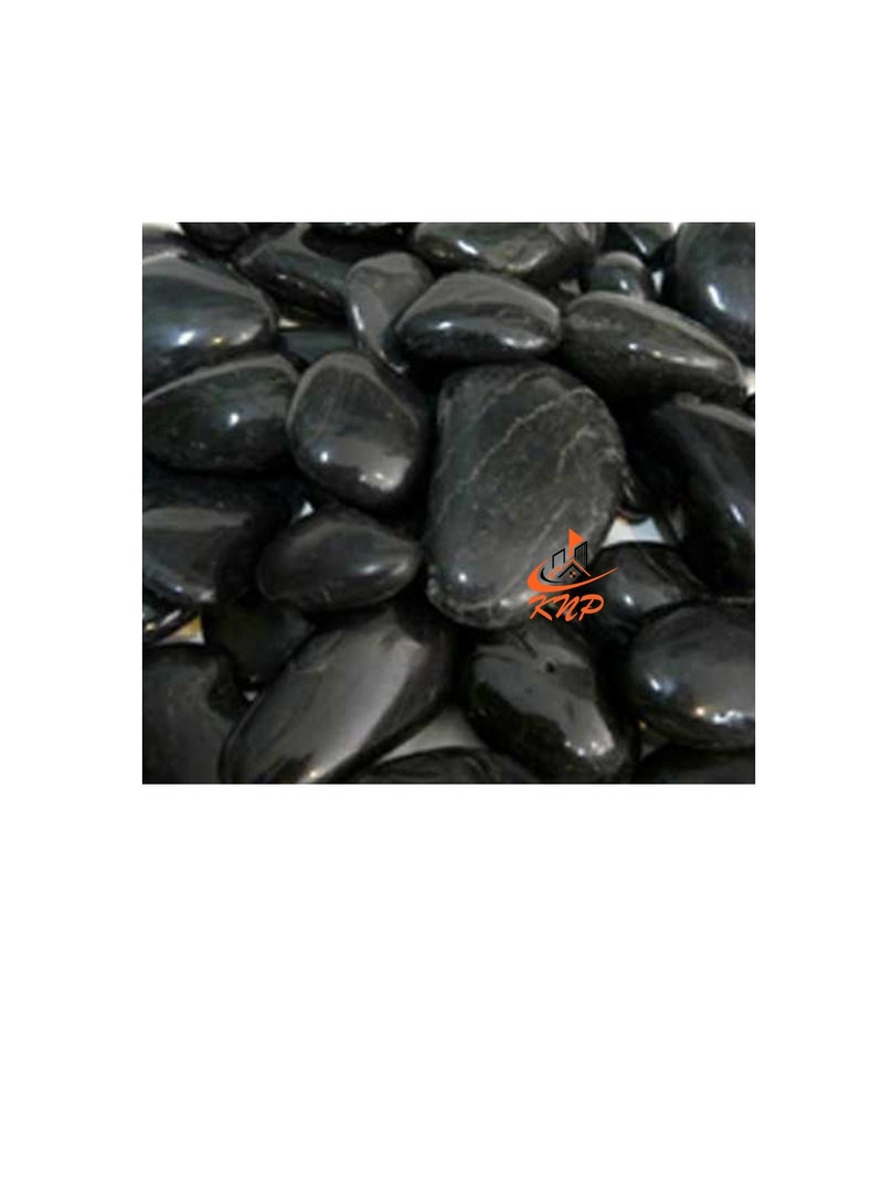 كنب حصى سوداء مصقولة عالية 3-5 سم - Image 3