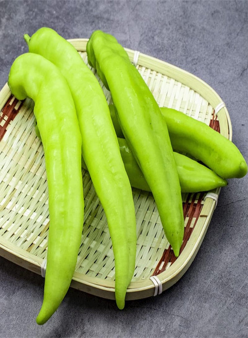 GGOOT 100Pcs Pepper Seeds Natural Healthy Delicious Vegetables for Outdoor Garden Farm Planting Easy Care Low Maintenance Rapid Growth - Image 2