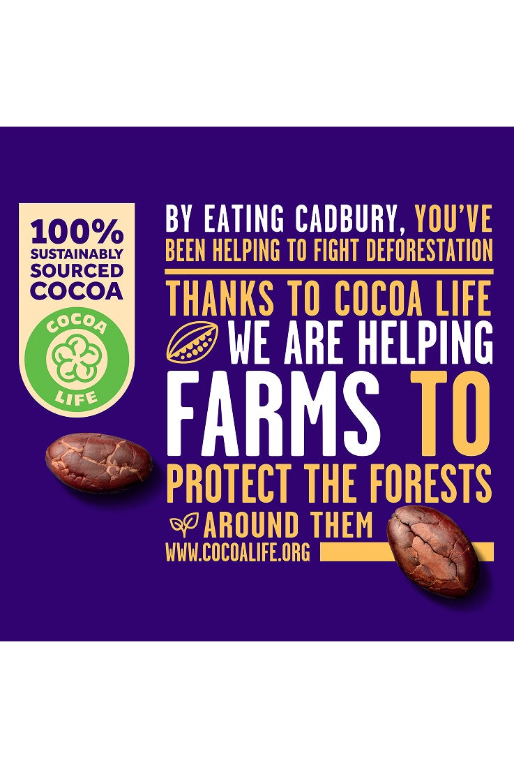 Cadbury Dairy Milk Assorted Minis Chocolate 250g - Image 5