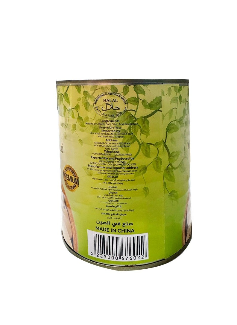 Depato Depato Mushrooms Slices 800g  - Image 5