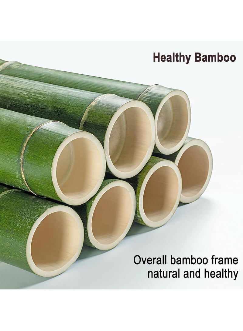 والالا خزانة عرض من الخيزران بخمس طبقات، حافظة عرض شفافة عصرية بسيطة، خزانة تحف، رف عرض زجاجي، رف منظم تخزين منزلي خشبي، خزانة كتب، رف كتب، مع باب نافذة أكريليك مزدوج - Image 2