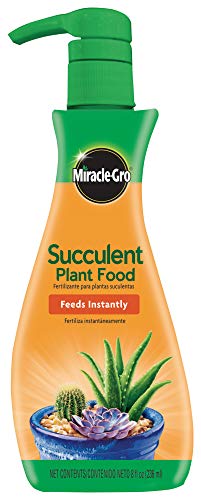 Scotts Succulent Plant Food 8 oz For Succulents including Cacti Jade And Aloe 6 Pack
