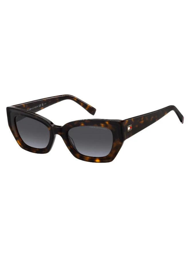 TOMMY HILFIGER  Wayfarers Sunglasses  | Best Price UAE