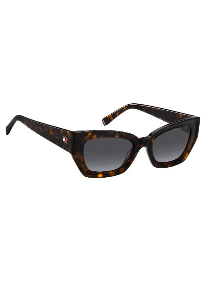 TOMMY HILFIGER  Wayfarers Sunglasses  | Best Price UAE