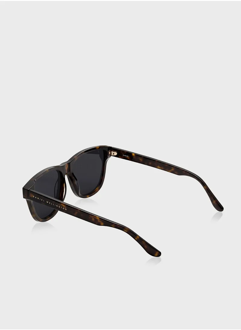 دانيال ولينغتون Ambler Wayfarers Sunglasses