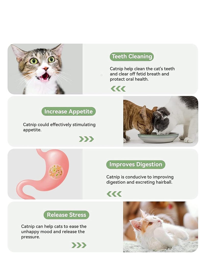 Catnip Ball Toy Cat Paw Shape Snack Ball Rotating Cat Edible Ball Fixed Nutrition Candy Ball Edible Snack Toy for Cats Dental Care - Image 2