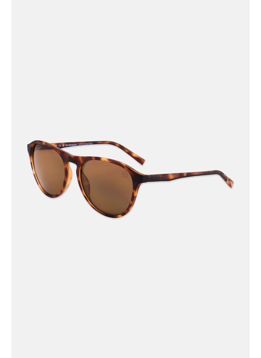 Timberland - Men TB9267 Round Sunglasses, Brown - Image 1