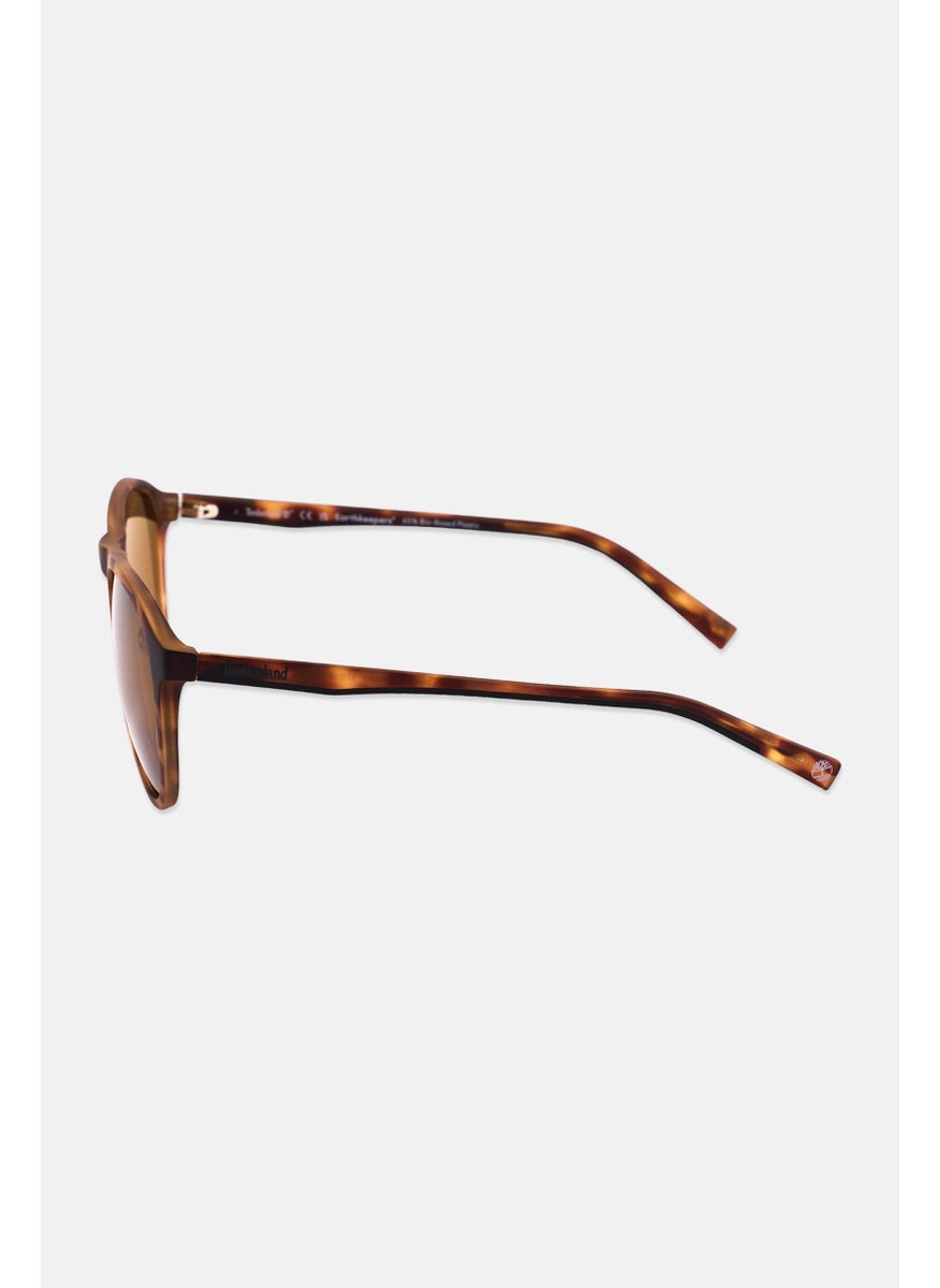 Timberland - Men TB9267 Round Sunglasses, Brown - Image 1