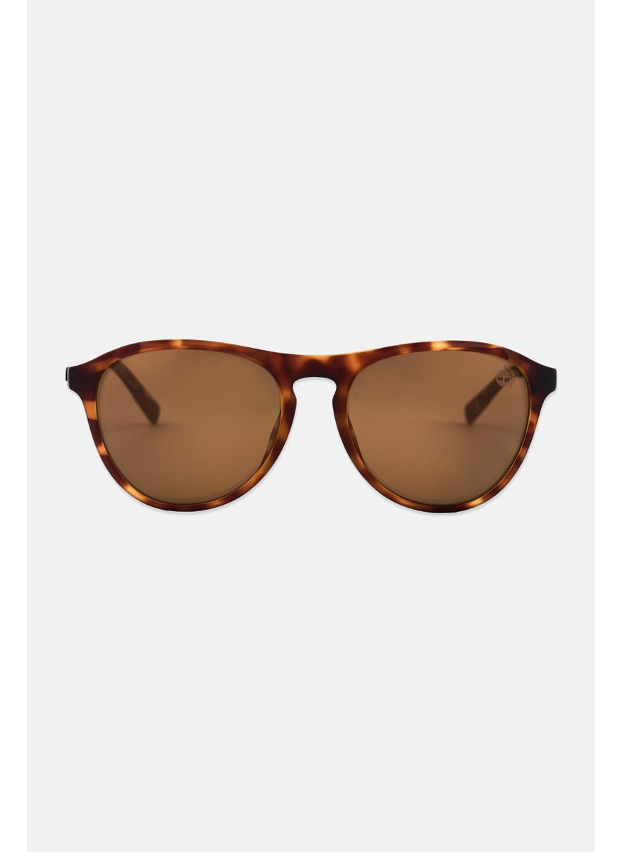Timberland - Men TB9267 Round Sunglasses, Brown - Image 1