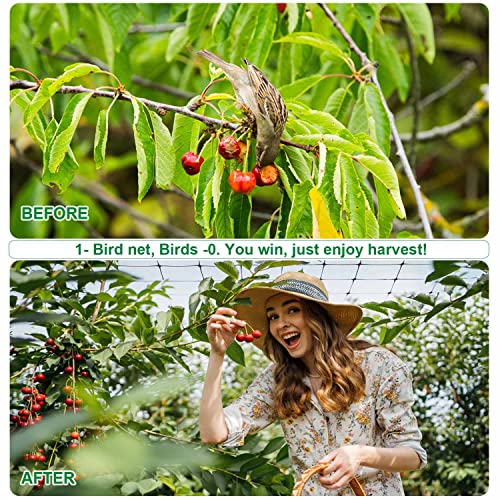 Mklsit شبكة سياج الغزلان Mklsit، 8 قدم × 100 قدم شبكة طيور ثقيلة للحماية من الطيور، الغزلان والحيوانات الأخرى في الحديقة، أشجار الفاكهة، نباتات الخضروات - Image 4