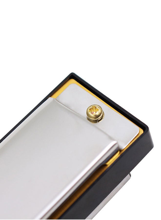 NIBEMINENT 24-Holes Tremolo Harmonica Mouth Organ Key Of C  - Image 4