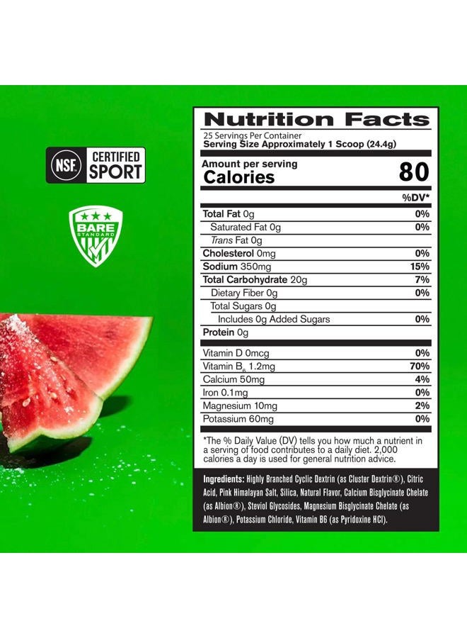 Bare Performance Nutrition بي بي إن جي.1.م جو واحد أكثر رياضة، وقود تدريب التحمل، بطيخ مملح، مصدر كربوهيدرات متفوق وصيغة إلكتروليت، تقليل التعب، 25 حصة - Image 2