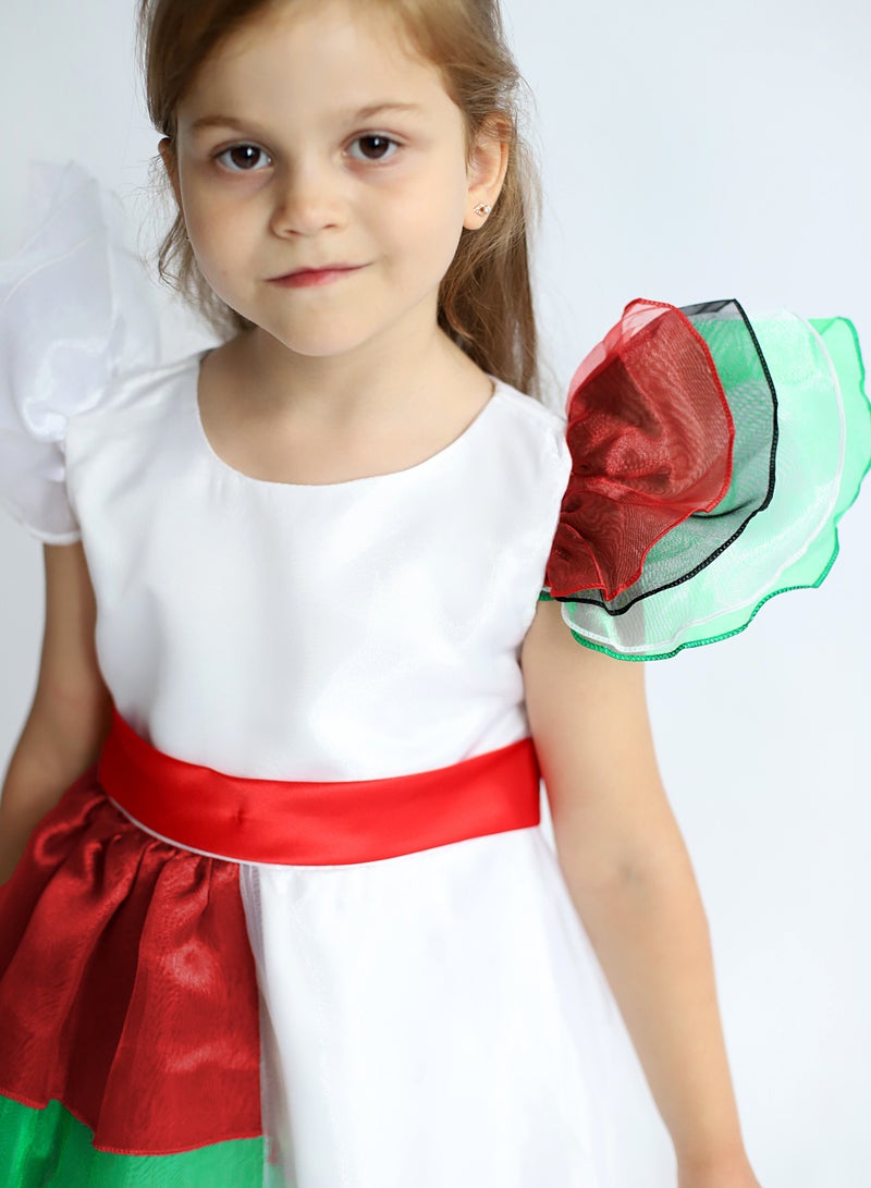D'Daniela UAE National Day Flag Dress GIRLS  - Image 3