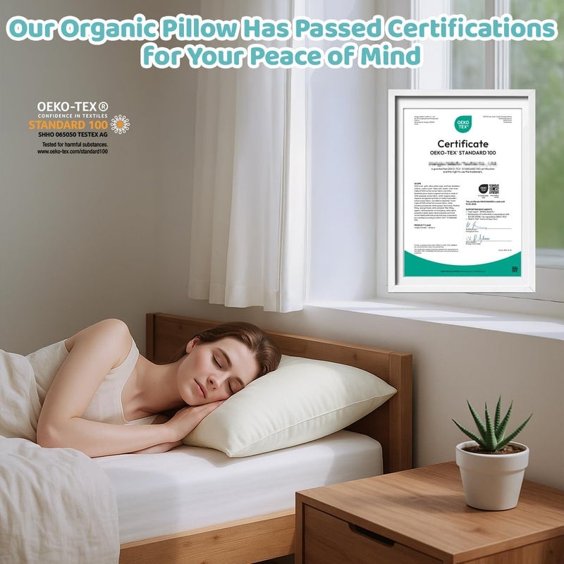 LOFE Organic Pillow with Pillowcase - 20x26 Organic Standard Pillow with 100% Organic Cotton Shell, Adjustable Loft Youth Plilow, Machine Washable, Soft, Perfect for Youth&Adults - Image 4